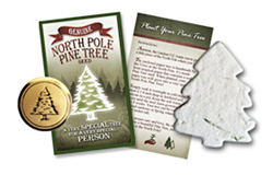 Genuine North Pole Pine Tree Seed™