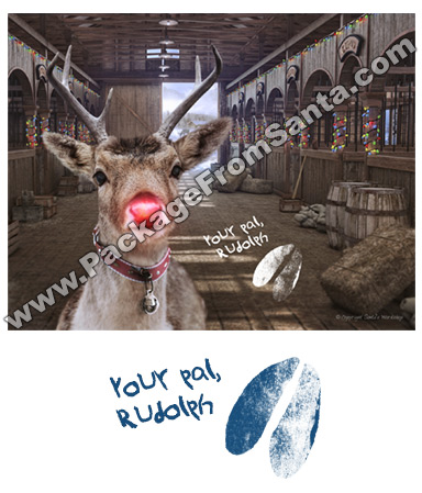 Rudolph in Stable